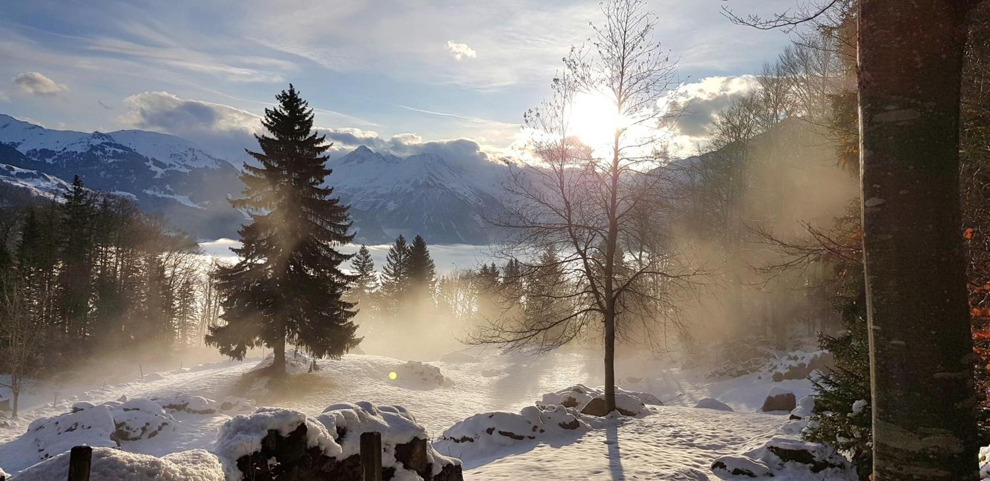 Gemuetliche Fewo Mit Sauna Inmitten Der Berge Meiringen Buitenkant foto