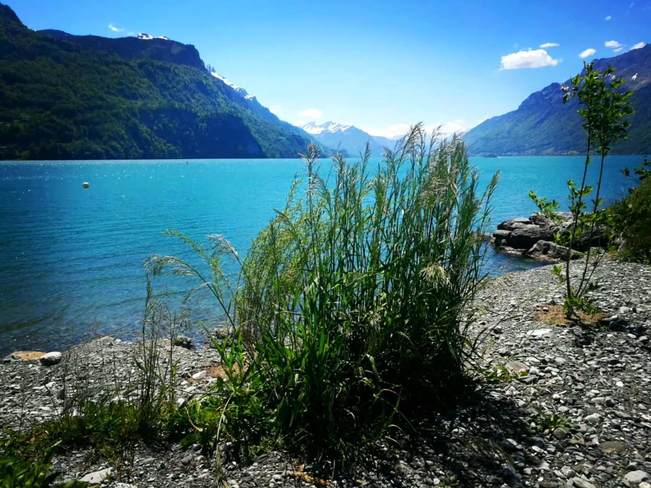 Gemuetliche Fewo Mit Sauna Inmitten Der Berge Meiringen Buitenkant foto