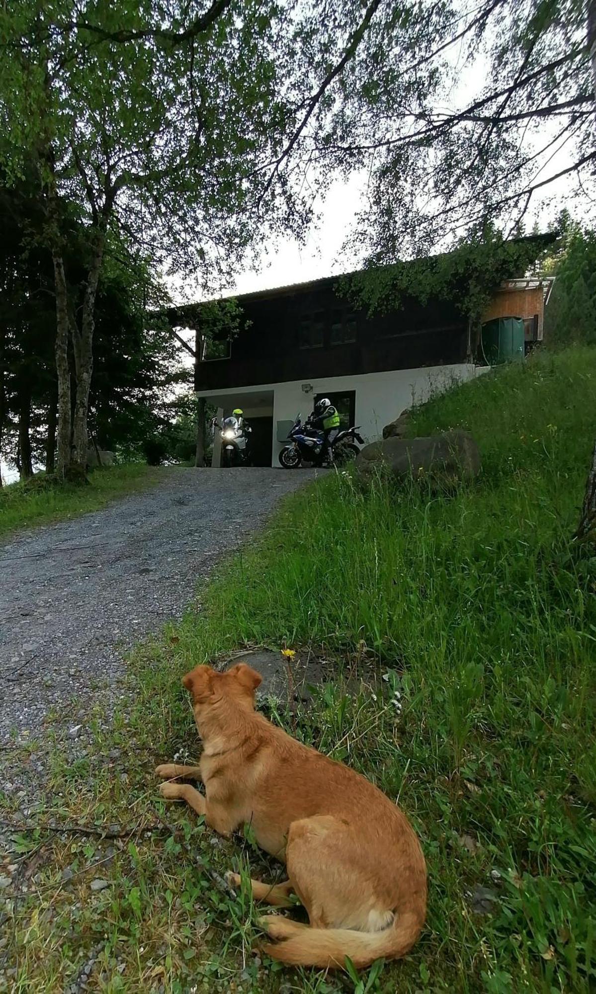 Gemuetliche Fewo Mit Sauna Inmitten Der Berge Meiringen Buitenkant foto