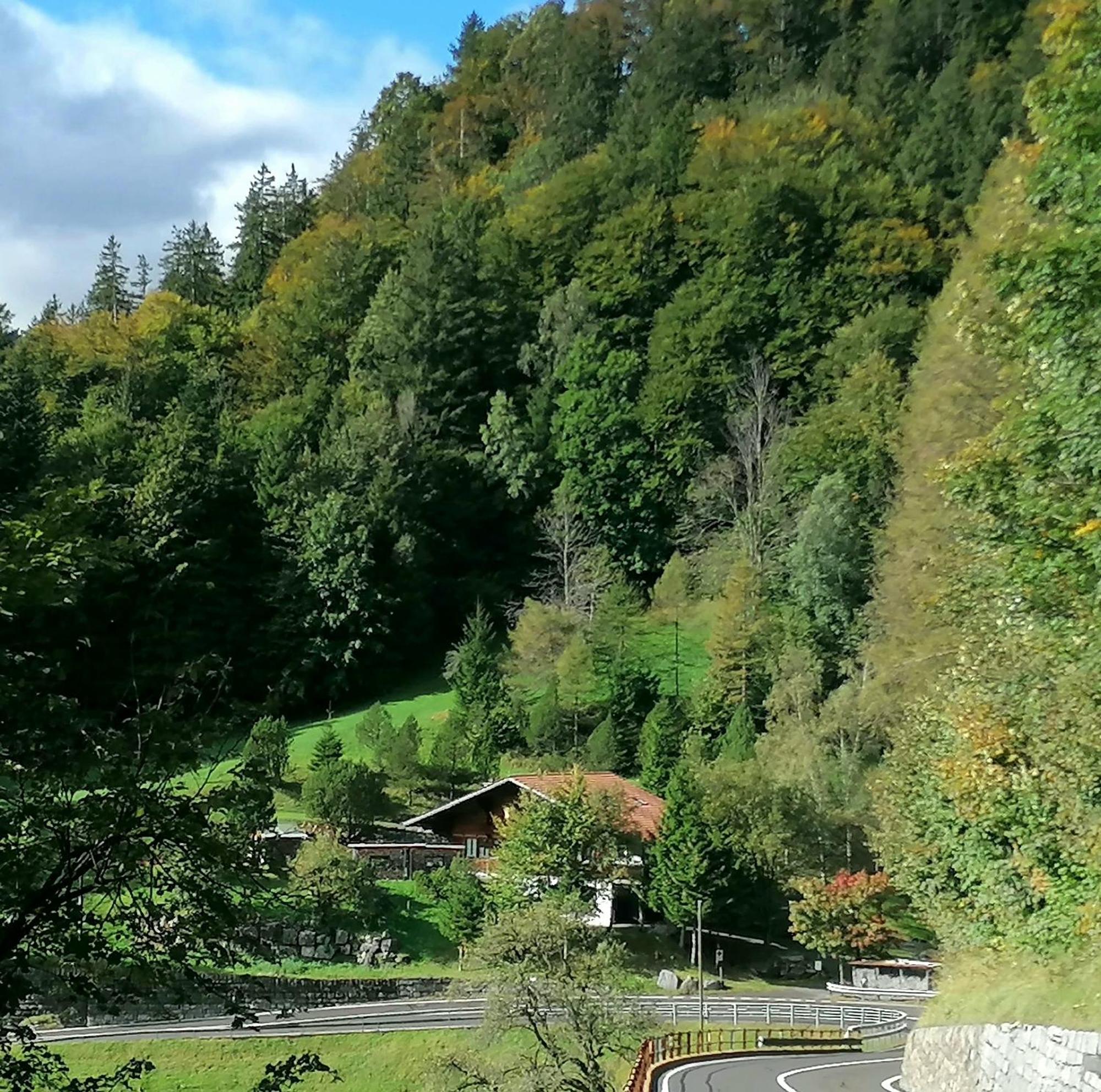 Gemuetliche Fewo Mit Sauna Inmitten Der Berge Meiringen Buitenkant foto